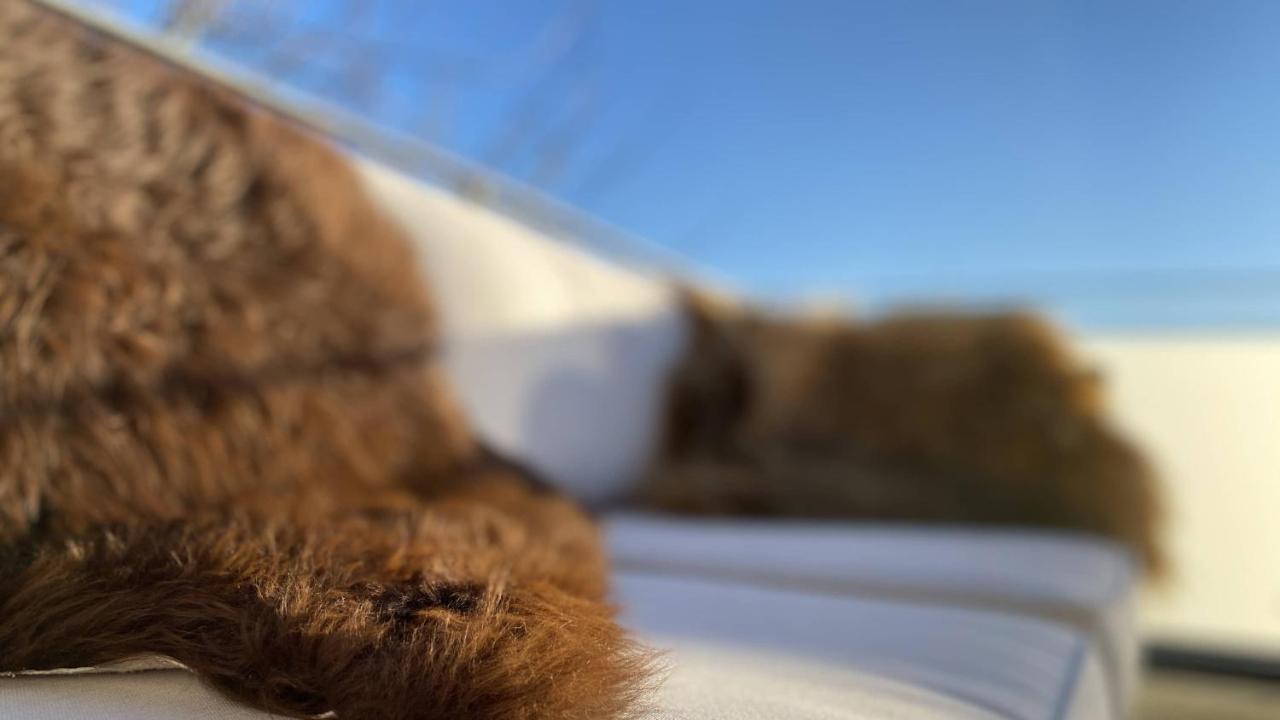 Villa Soholt - Silkeborg Bed And Breakfast エクステリア 写真