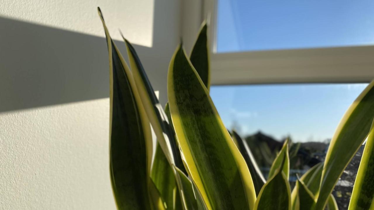 Villa Soholt - Silkeborg Bed And Breakfast エクステリア 写真